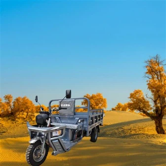 가정용 화물 세발자전거