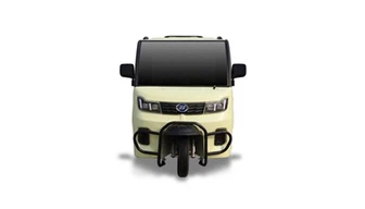 3도어 전기 세발자전거